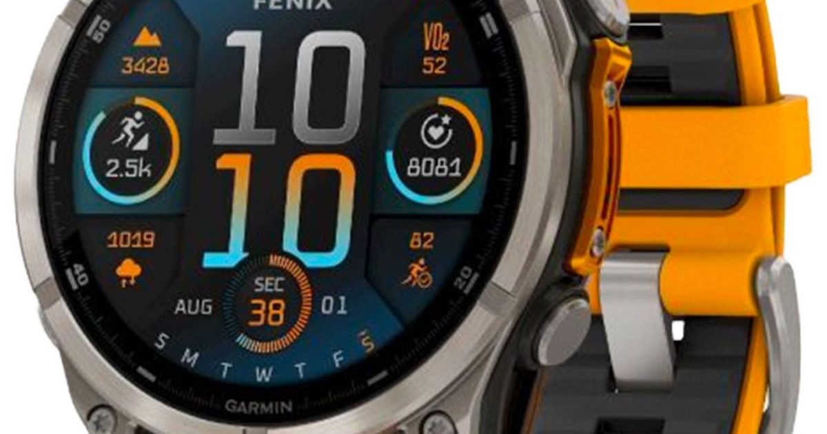 Montre Connectée Montre Fenix Garmin Garmin Fenix Amoled 47mm ...